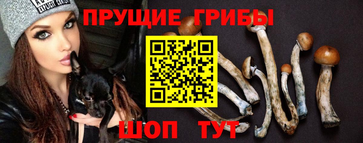 Псилоцибиновые грибы прущие грибы Муравленко